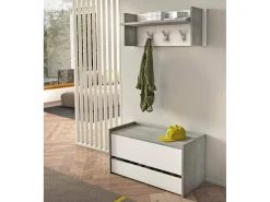 Móvel De Arrumação|Sapateira*Dmora Baú Dgaiard, Móvel de entrada moderno com sapateira, Baú com dois contêineres, 100% Fabricado na Itália, 90x40h46 cm, e Cimento Branco