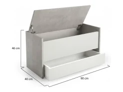 Móvel De Arrumação|Sapateira*Dmora Baú Dgaiard, Móvel de entrada moderno com sapateira, Baú com dois contêineres, 100% Fabricado na Itália, 90x40h46 cm, e Cimento Branco