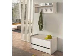 Móvel De Arrumação|Sapateira|Dmora Baú Dgaiard, Móvel de entrada moderno com sapateira, Baú com dois recipientes, 100% Fabricado na Itália, 90x40h46 cm, e Carvalho Branco