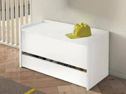 Móvel De Arrumação|Sapateira|Dmora Baú Lantana, Móvel de entrada moderno com sapateira, Baú com dois recipientes, 100% Fabricado na Itália, 90x40h46 cm, Branco