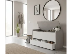 Dmora Baú Lantana, Móvel de entrada moderno com sapateira, Baú com dois recipientes, 100% Fabricado na Itália, 90x40h46 cm, Branco e Cimento^ Móvel De Arrumação|Sapateira