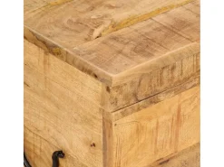 Acessórios De Arrumação|vidaxl Caixa de arrumação 39x28x31 cm madeira de mangueira maciça Natural claro