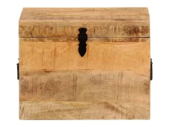 Acessórios De Arrumação|vidaxl Caixa de arrumação 39x28x31 cm madeira de mangueira maciça Natural claro