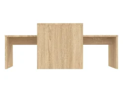 Mesa De Centro|vidaxl Conj. mesas centro 100x48x40cm deriv. madeira carvalho sonoma Natural claro