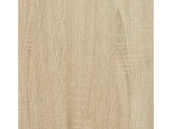 Biblioteca|vidaxl Estante 60x24x101,5 cm derivados de madeira carvalho sonoma Castanho