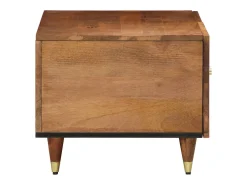 Hot Mesa de centro | Mesa de apoio | Mesa de café 80x50x40 cm madeira de mangueira maciça Castanho