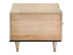 Mesa de centro | Mesa de apoio | Mesa de café 100x54x40 cm madeira de mangueira maciça^ Mesa De Centro