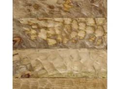 Mesa de centro | Mesa de apoio | Mesa de café 80x50x40 cm madeira de mangueira maciça Castanho