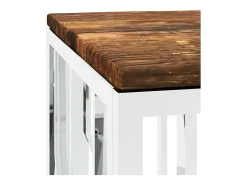 Mesa De Centro* Mesa de centro | Mesa de apoio | Mesa de café aço inoxidável e madeira recuperada maciça Prateado