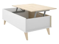 Mesa De Centro*Dmora Mesa de centro Dburs, Porta-revistas para sala com compartimento de arrumação, Mesa de centro baixa elevada, 99x60h41 cm, Carvalho e Branco Castanho