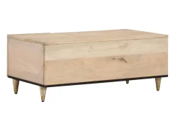 Discount Mesa de centro 100x54x40 cm madeira de mangueira maciça PT153379 Castanho