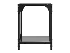 Mesa De Centro*vidaxl Mesas de centro c/ topo em vidro 2 pcs 30x30x40 cm aço Preto