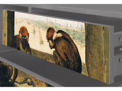 Móvel De Tv* Mueble de TV - 170х59х48 cm - T4 - Two Monkeys, Cinza Cinzento