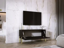 Online Móvel TV : Fosco / Brilhante, patas dourados, 100 x 52 x 32 cm Preto