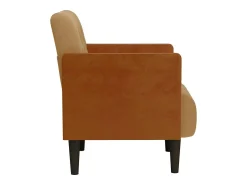 Poltrona | Cadeira Relax com apoio de braços 55 cm veludo SHL790069^ Poltrona