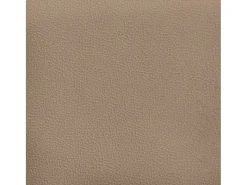 Discount Poltrona | Cadeira Relax com apoios de braços 54 cm couro artificial cappuccino SHL33583 Castanho