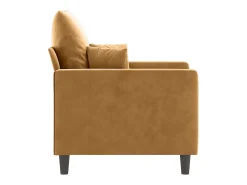 Poltrona*vidaxl Poltrona 60 cm veludo Castanho