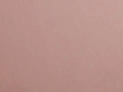 Poltrona*Vente-unique Poltrona concha em veludo pés dourados DANDELION Rosa