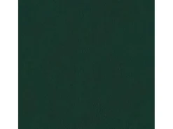 Poltrona|vidaxl Poltrona de massagens veludo -escuro Verde