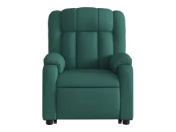 Poltrona* Poltrona elétrica reclinável/elevatória tecido verde-escuro SHL131389 Verde pinho
