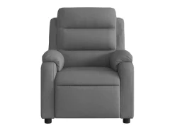 Poltrona* Poltrona Reclinável | Poltrona Confortável Relax tecido cinzento-escuro SHL386958 Cinza antracite