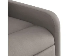 Poltrona*vidaxl Poltrona reclinável tecido cinzento-acastanhado Taupe
