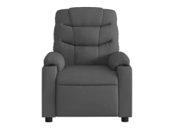 Poltrona|vidaxl Poltrona reclinável tecido -escuro Cinzento