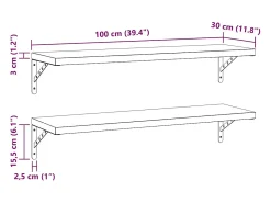 Clearance vidaxl Prateleiras de parede 2 pcs 100x30 cm aço inoxidável Prateado