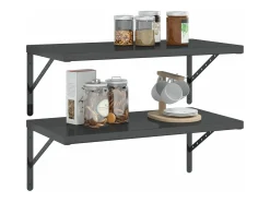 Online Prateleiras de parede 2 pcs 75x40 cm aço inoxidável prateado PT574894 Preto