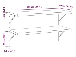 Prateleira*vidaxl Prateleiras de parede 2 pcs 100x40 cm aço inoxidável Prateado