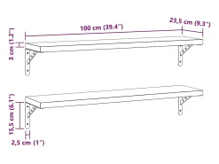 vidaxl Prateleiras de parede 2pcs 100x23,5 cm aço inoxidável^ Prateleira