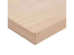 Prateleira*vidaxl Prateleiras flutuantes 4 pcs 60x23,5x4 cm derivados de madeira Castanho
