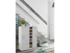 Móvel De Arrumação|Sapateira|Dmora Roupeiro multiusos Olathe, Armário auxiliar com 2 portas, Sapateira baixa com 6 prateleiras, Sapateira baixa, 70x36h103 cm, Cimento e Branco Cinzento