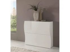Móvel De Arrumação|Sapateira*Dmora Sapateira Andrea, Armário multiuso com 2 portas dobráveis, Sapateira de entrada, 100% Fabricado na Itália, 101x27h82 cm, brilhante Branco