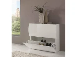 Móvel De Arrumação|Sapateira*Dmora Sapateira Andrea, Armário multiuso com 2 portas dobráveis, Sapateira de entrada, 100% Fabricado na Itália, 101x27h82 cm, brilhante Branco