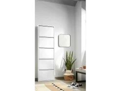 Móvel De Arrumação|Sapateira|Dmora Sapateira Dandracchi, Sapateira de metal,Armário de entrada multiusos,Armário para calçados, 50x15h172 cm, Branco