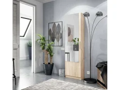 Móvel De Arrumação|Sapateira|Dmora Sapateira Dcozzol, Sapateira alta com 1 porta, Sapateira moderna, Armário de entrada com espelho, 50x22h180 cm, Carvalho Castanho
