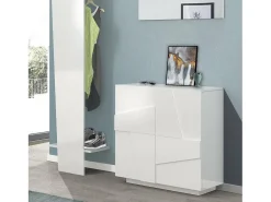 Móvel De Arrumação|Sapateira|Dmora Sapateira Dfogl, Armário multiuso com 2 portas, Sapateira de entrada, 100% Fabricado na Itália, 81x38h86 cm, brilhante com detalhe Branco