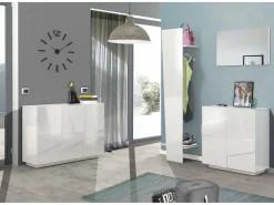 Móvel De Arrumação|Sapateira|Dmora Sapateira Dfogl, Armário multiuso com 2 portas, Sapateira de entrada, 100% Fabricado na Itália, 81x38h86 cm, brilhante com detalhe Branco