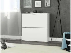 Dmora Sapateira Dighina, Sapateira com 2 portas dobráveis, Sapateira de entrada baixa, Armário baixo, 75x22h76 cm,^ Móvel De Arrumação|Sapateira
