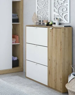 Móvel De Arrumação|Sapateira|Dmora Sapateira Dmodic, sapateira de entrada com 4 portas, guarda-roupa que economiza espaço, 105x24h112 cm, e Carvalho Branco