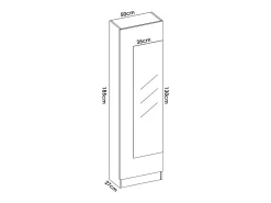 Dmora Sapateira Dpagani, Sapateira de entrada que economiza espaço, Sapateira com 1 porta espelhada, 50x27h186 cm,^ Móvel De Arrumação|Sapateira