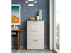 Dmora Sapateira Iris, Móvel de entrada multiuso com 3 portas sanfonadas, Sapateira moderna, 100% Fabricado na Itália, 67x18h112 cm, Lariço^ Móvel De Arrumação|Sapateira