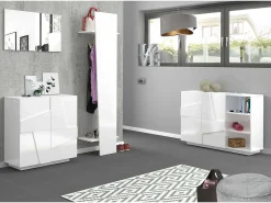 Móvel De Arrumação|Sapateira*Dmora Sapateira Joel, Armário multiuso com 2 portas, Sapateira de entrada, 100% Fabricado na Itália, 81x38h86 cm, brilhante com detalhe Branco