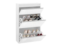 Móvel De Arrumação|Sapateira|Dmora Sapateira Paco, Armário multiuso com 2 portas e 1 porta sanfonada, Sapateira de entrada, 100% Fabricado na Itália, 60x27h108 cm, brilhante Branco