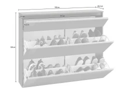 Móvel De Arrumação|Sapateira|Dmora Sapateira Piero, Armário multiuso com 2 portas e 1 porta basculante, Sapateira de entrada, 100% Fabricado na Itália, 120x27h108 cm, Antracite brilhante Preto
