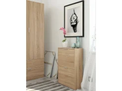 Móvel De Arrumação|Sapateira*Dmora Sapateira Valdosta, Sapateira economizadora de espaço com 2 portas, Sapateira de entrada, Armário sapateira, 50x22h76 cm, Carvalho Castanho