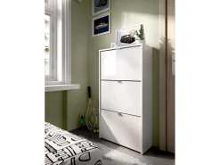 Móvel De Arrumação|Sapateira|Dmora Sapateira Vignole, sapateira de entrada que economiza espaço, sapateira com 3 portas dobráveis, 61x25h113 cm, Branco