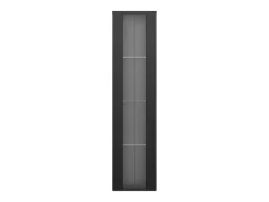 ModernLuxe Vitrine 40×29×170 cm - iluminação LED multicolor com controle remoto - divisórias de vidro -^ Vitrina