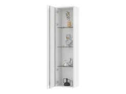 Merax Vitrine multifuncional - 40 x 29 x 170 cm - com porta de vidro + LEDs - PB + Vidro -^ Vitrina
